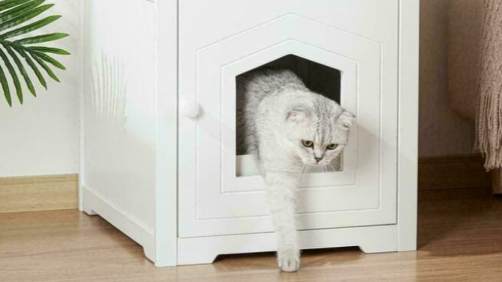 Kuweta plastikowa czy metalowa